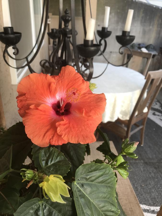 Donna'S Bed & Breakfast White Rock Ngoại thất bức ảnh